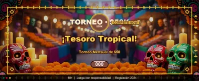 Premium casino experience at BTK7